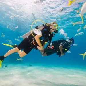 PADI Open Water Course
