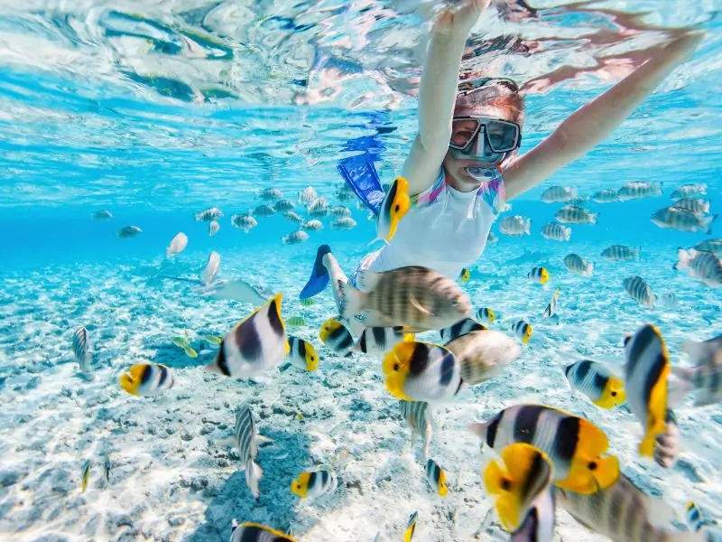 Best Things to Do in Pattaya