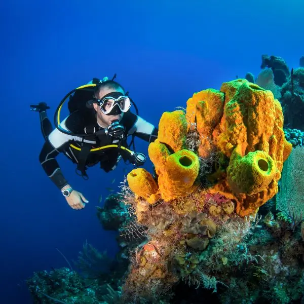 Scuba diving boat trip from Jomtien Dive Center