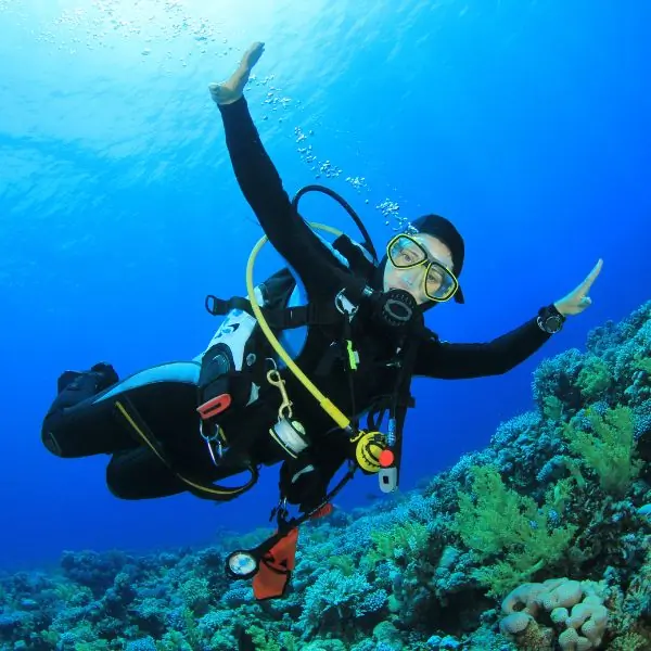 Certified divers on a Pattaya fun diving trip