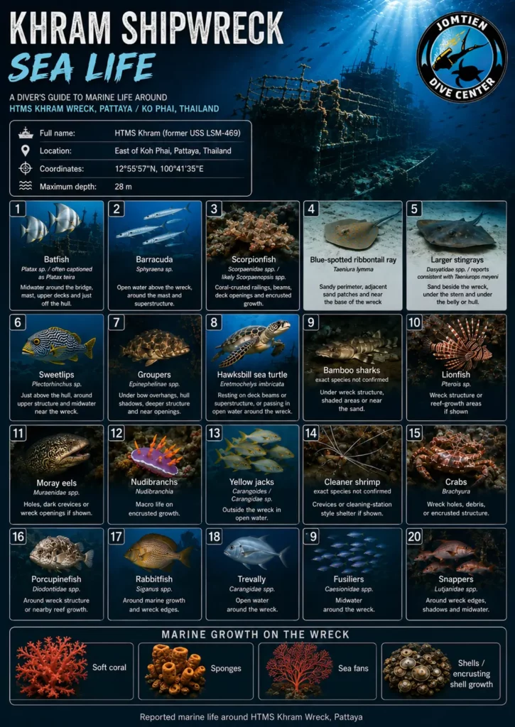 HTMS Khram Wreck Fish Identification - wreck diving Thailand