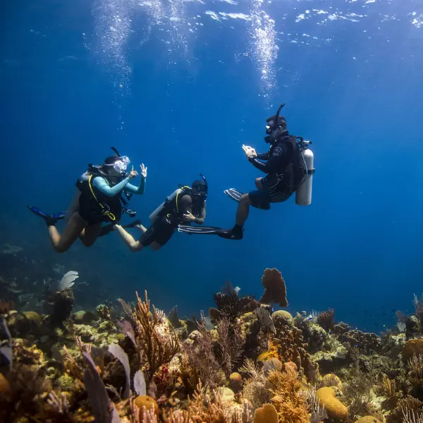 PADI Divemaster Internship & Course