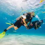 PADI Open Water Course